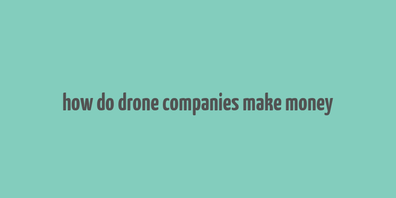 how do drone companies make money