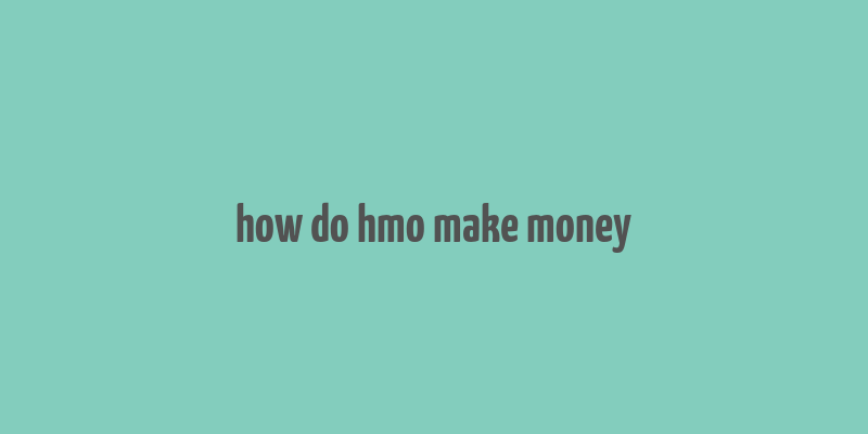 how do hmo make money