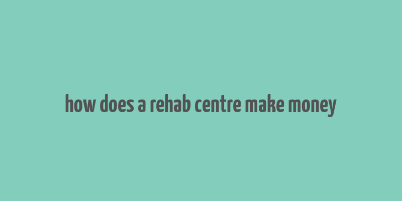 how does a rehab centre make money