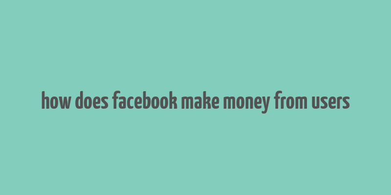 how does facebook make money from users