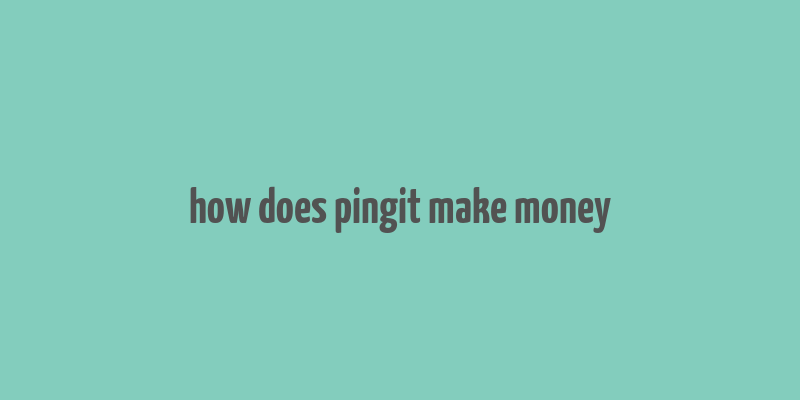 how does pingit make money