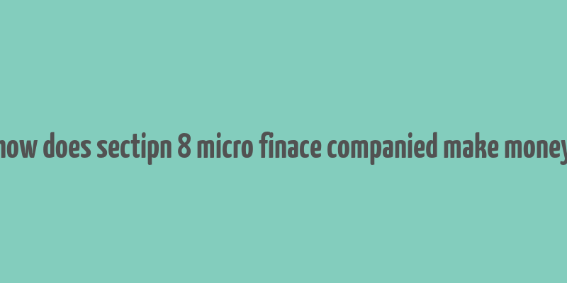 how does sectipn 8 micro finace companied make money