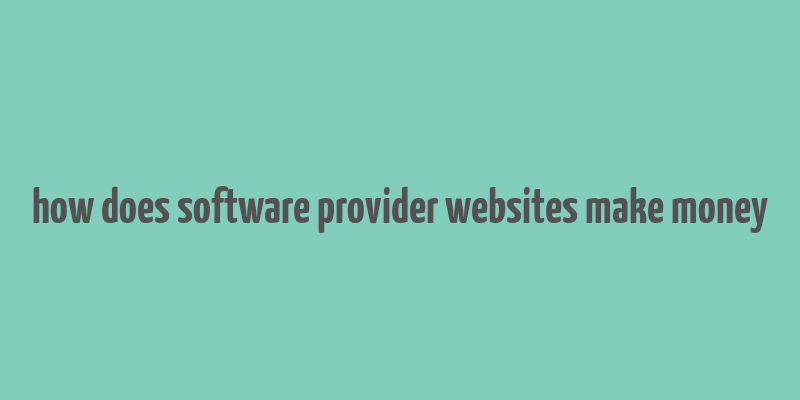 how does software provider websites make money