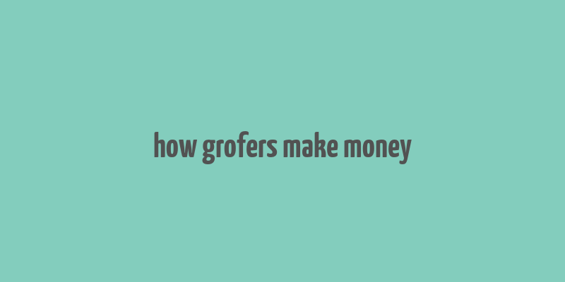 how grofers make money