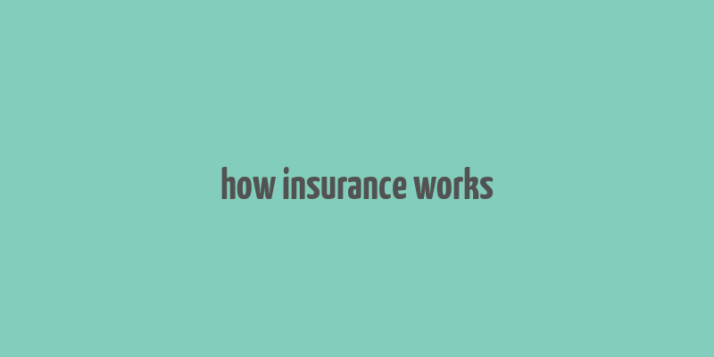 how insurance works