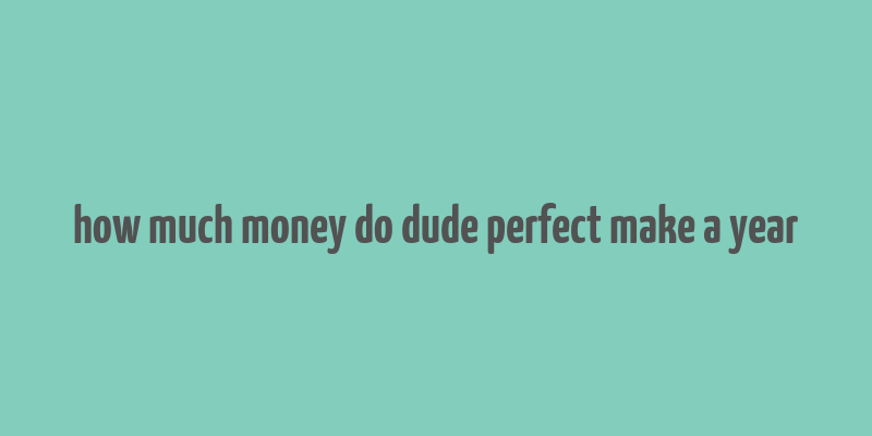 how much money do dude perfect make a year