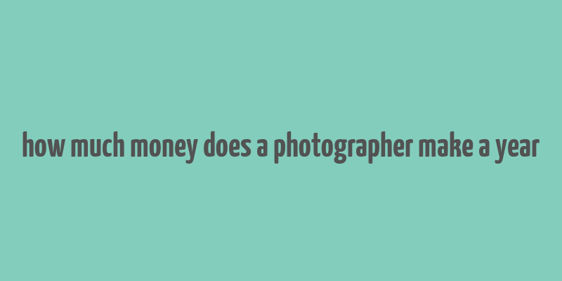 how much money does a photographer make a year