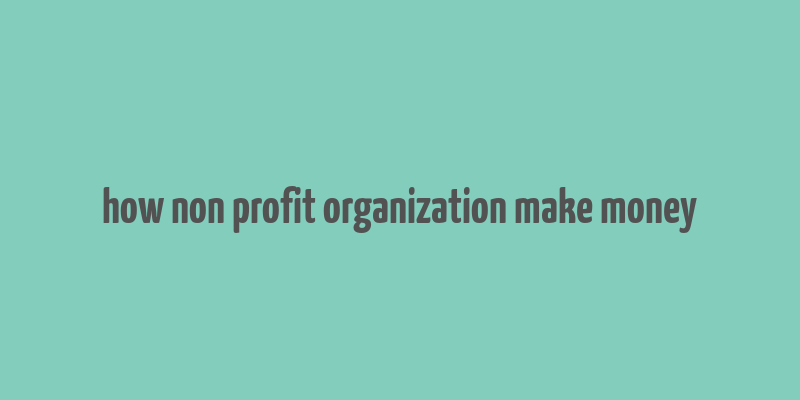 how non profit organization make money