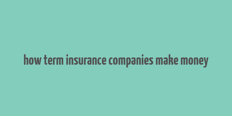 how term insurance companies make money