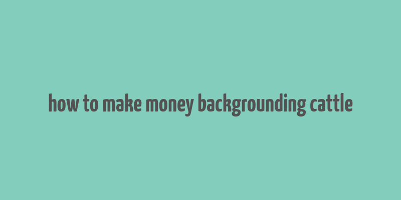 how to make money backgrounding cattle