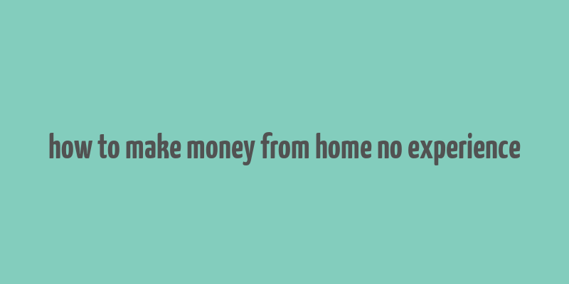 how to make money from home no experience