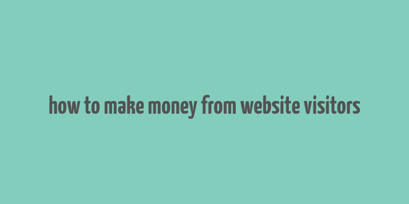 how to make money from website visitors