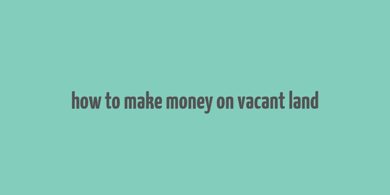 how to make money on vacant land