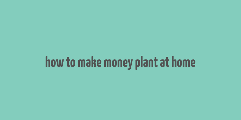 how to make money plant at home