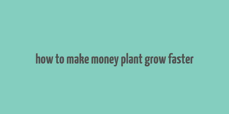 how to make money plant grow faster