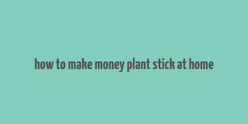 how to make money plant stick at home