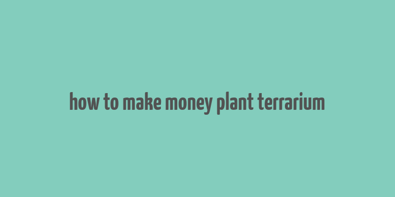 how to make money plant terrarium