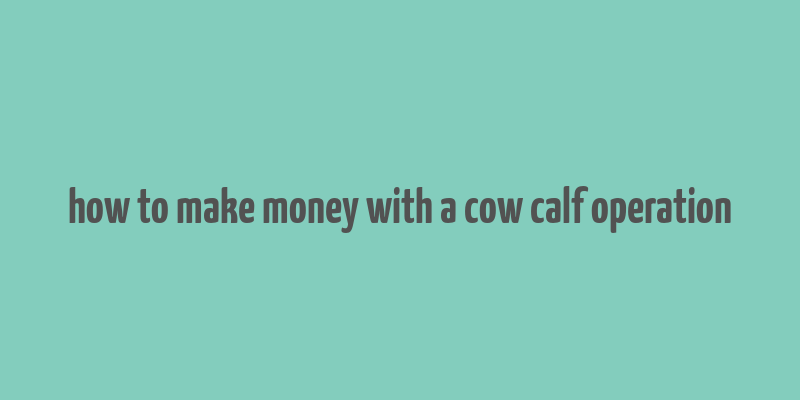 how to make money with a cow calf operation