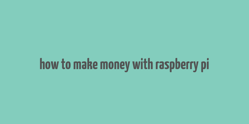 how to make money with raspberry pi