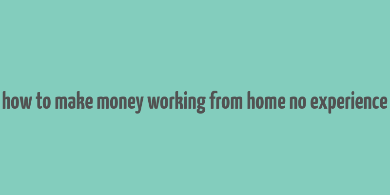 how to make money working from home no experience