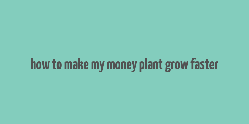 how to make my money plant grow faster