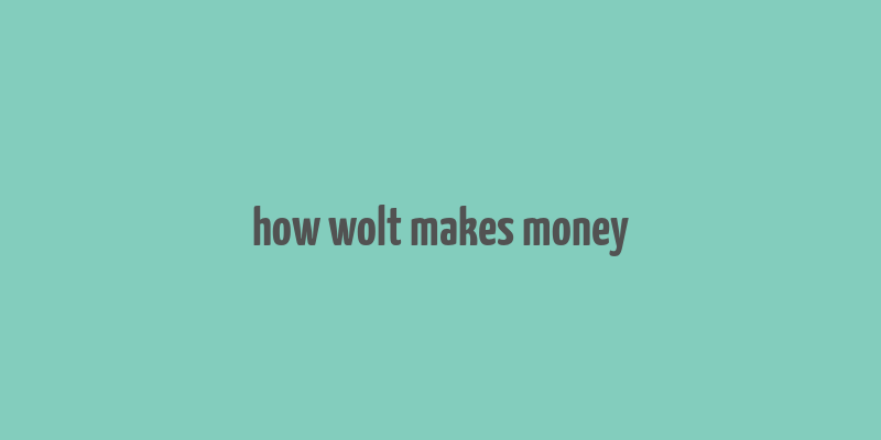 how wolt makes money