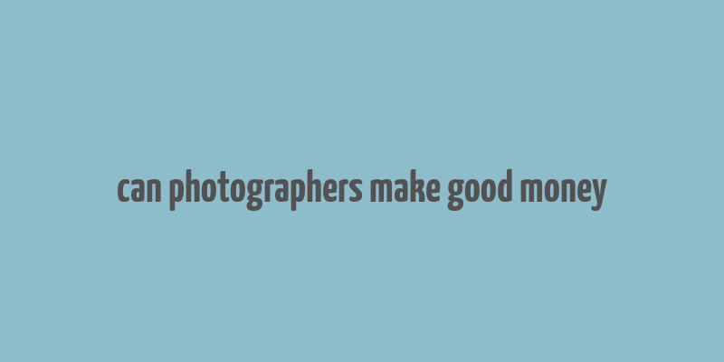 can photographers make good money