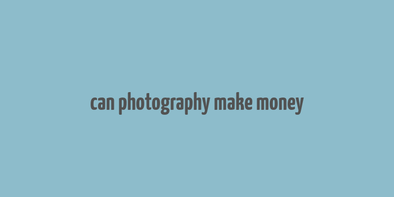 can photography make money