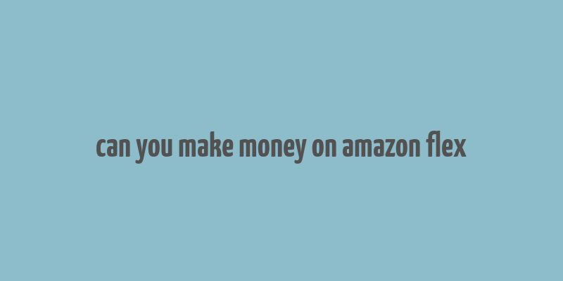 can you make money on amazon flex