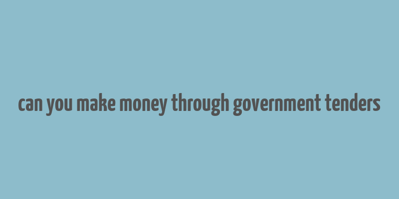 can you make money through government tenders