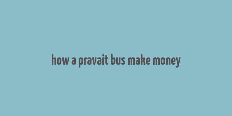 how a pravait bus make money