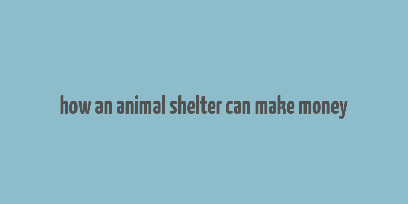 how an animal shelter can make money