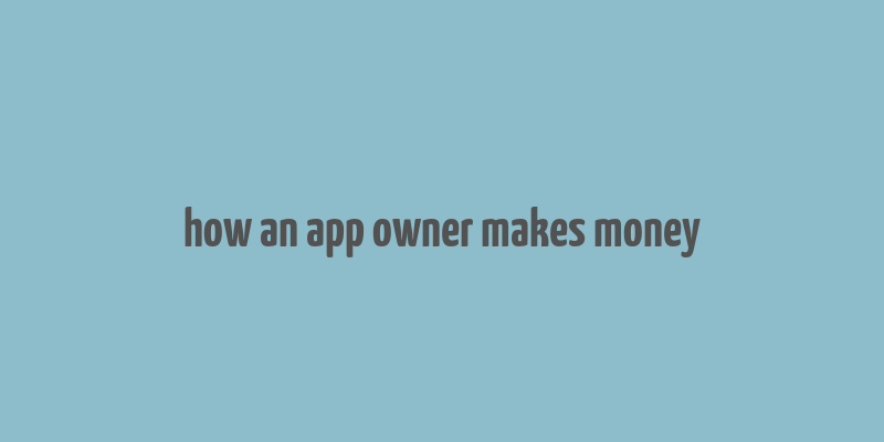 how an app owner makes money