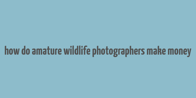 how do amature wildlife photographers make money