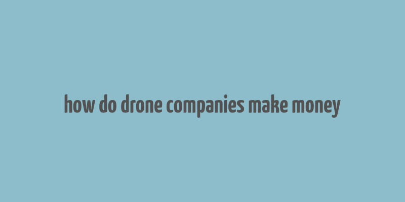 how do drone companies make money