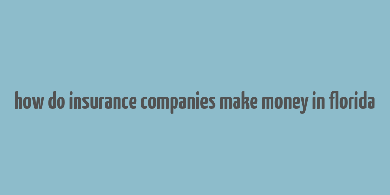 how do insurance companies make money in florida