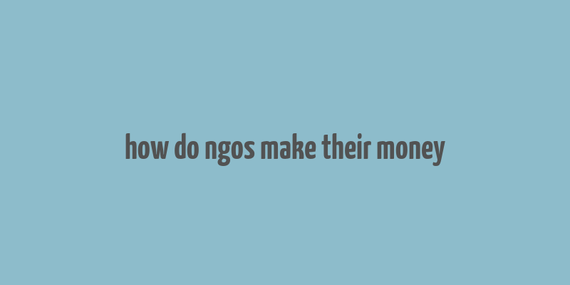 how do ngos make their money