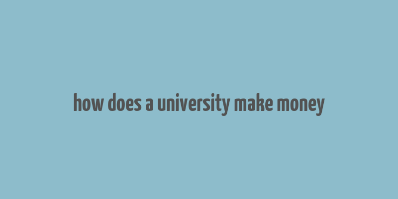 how does a university make money