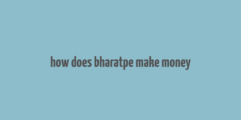 how does bharatpe make money