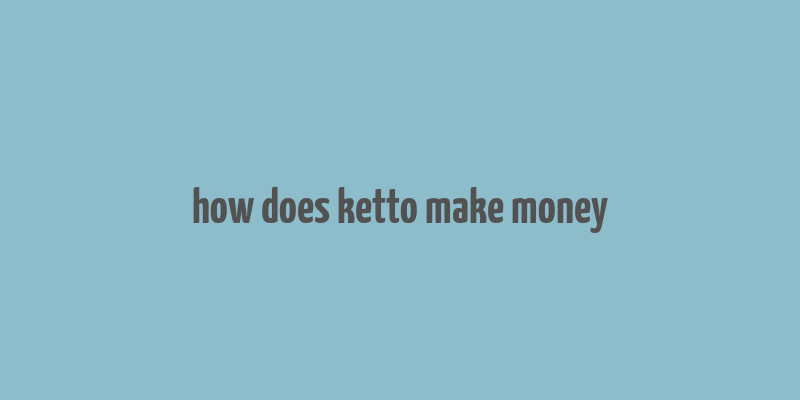 how does ketto make money