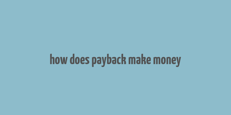 how does payback make money