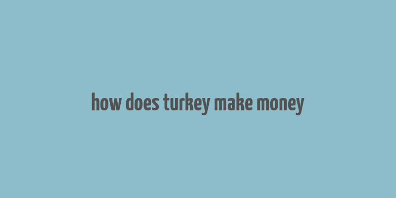 how does turkey make money