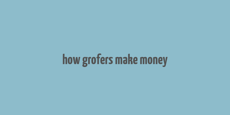 how grofers make money