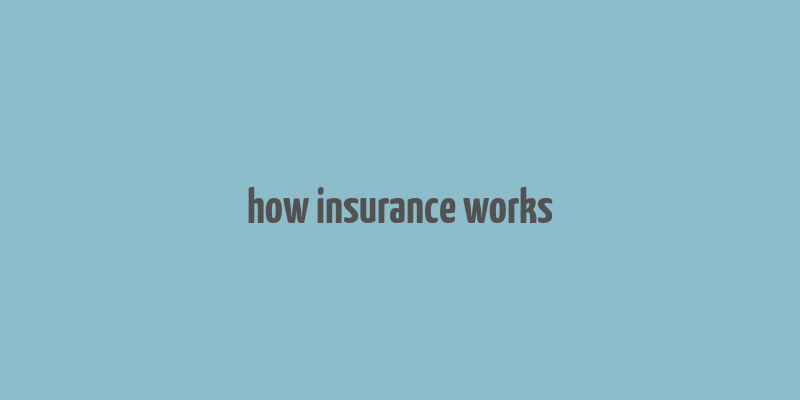 how insurance works