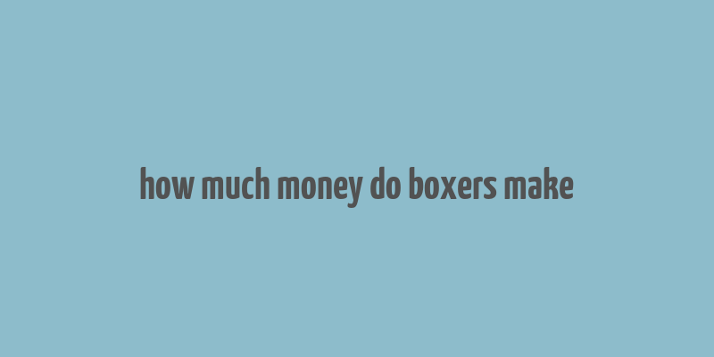 how much money do boxers make