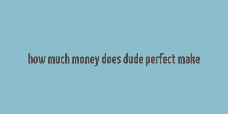 how much money does dude perfect make