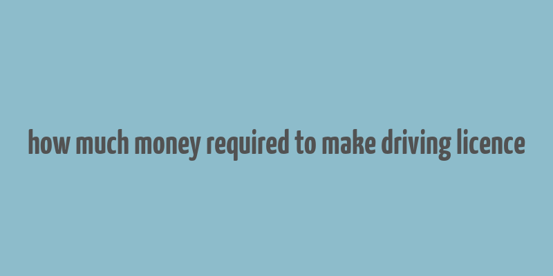 how much money required to make driving licence