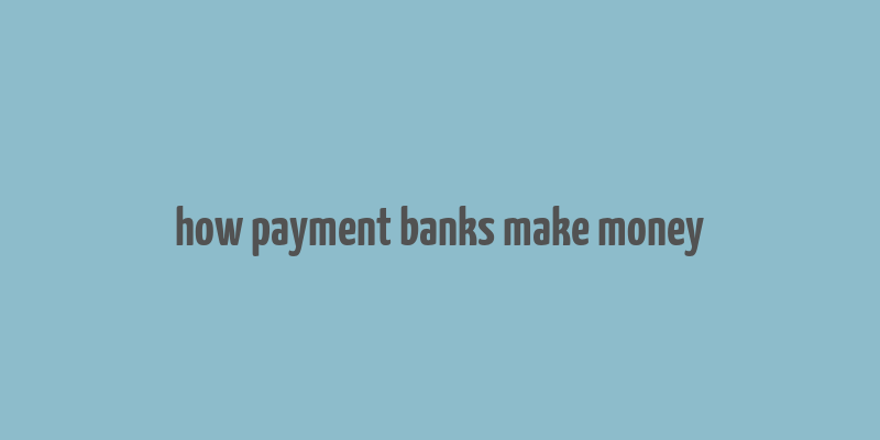 how payment banks make money