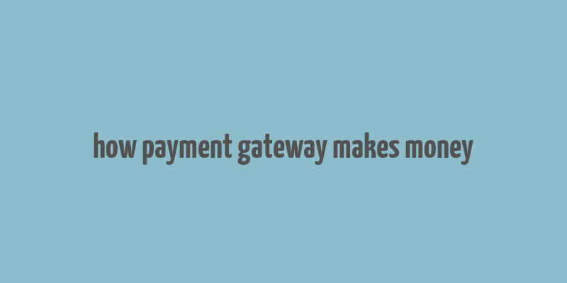 how payment gateway makes money