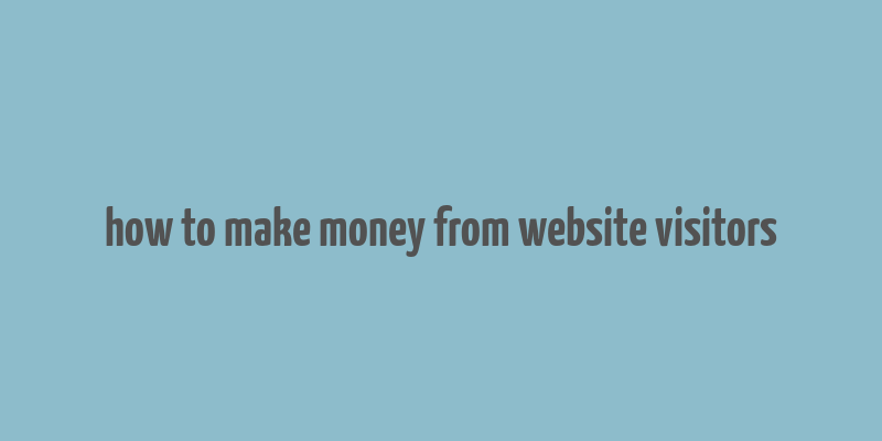 how to make money from website visitors